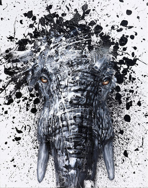 Descriptive image text